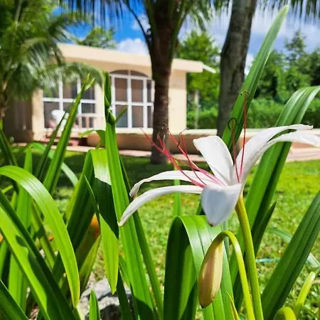 Villa Casita Del Arco El Cedral Cozumel Extérieur photo